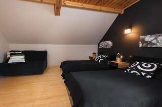 Отели типа «постель и завтрак» Villa Bezycer Gowidlino Двухместный номер бизнес-класса с 2 отдельными кроватями-1